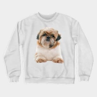 Shih Tzu Puppy Crewneck Sweatshirt